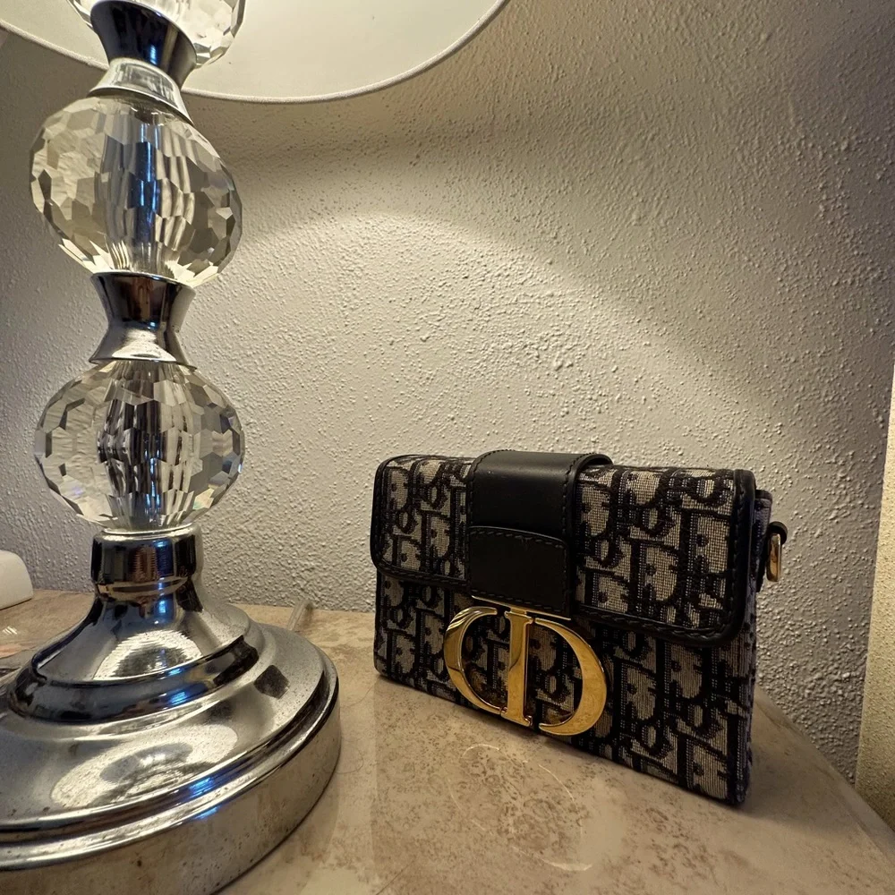 DIOR 30 MONTAIGNE BOX CLOTH BAG - Picture 1 of 5
